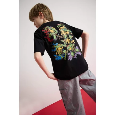 DeFacto Erkek Çocuk Teenage Mutant Ninja Turtles Bisiklet Fiyatı