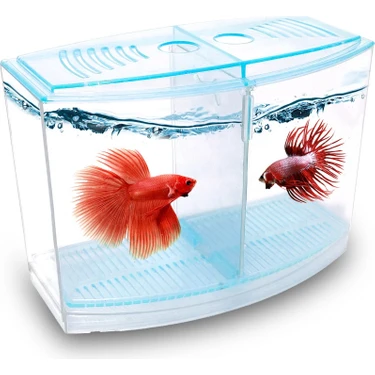 Atlantik Betalık Beyaz 9x19x14cm  1800 ml Beta Tank Akvaryum Aksesuarı Kullanım