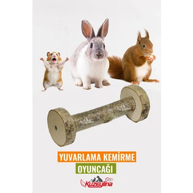 Kuzeylina Hamster Tavşan Gine Pig Yuvarlama Kemirme