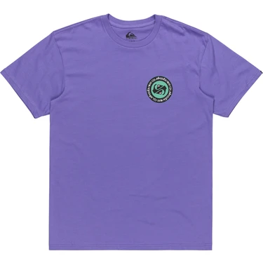 Quiksilver Cırcle Back Ss Erkek T-Shirt
