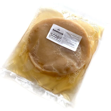 Kombuçça Organik Kombucha Mantarı Kombuça Scoby - Kombu Çayı - Kambuça Kültürü