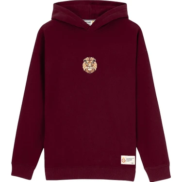 Gs Store Gsstore x Reflect Studio Aslan Hoodie