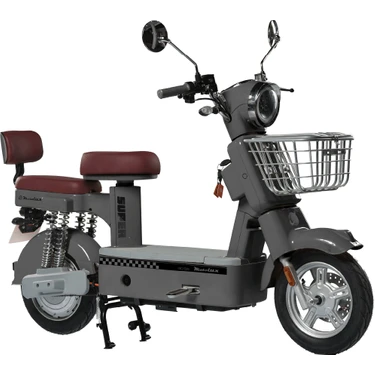 Go 55 Elektrikli Motosiklet 800W 48V-20AH -