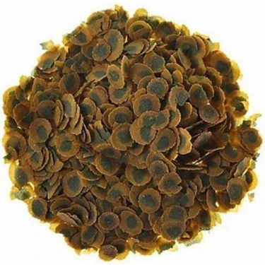 Tetra Pro Algae 100 Gram Bitkisel Balık Yemi Yüksek Kaliteli Akvaryum Balıkları İçin
