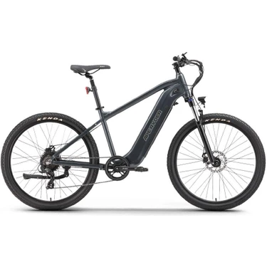 Ape Ryder Buffalo Ön Amortisörlü Elektrikli