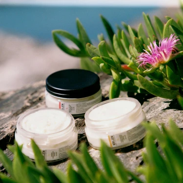 Krijen Doğal Deodorant - Beyaz Zambak & Üzüm Çekirdeği Krem Fiyatı