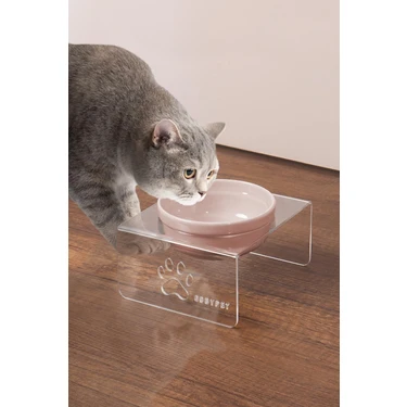 GOBYPET Kedi ve Köpek Dekoratif Tekli Seramik Pleksi Mama & Su Kabı+ Kedi