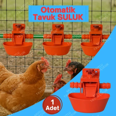 1 Adet Otomatik Suluk Tavuk Suluğu Civciv Güvercin Bıldırcın Sülün Muhabbet Kuşu Keklik Ördek