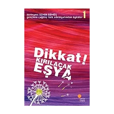 Günışığı Kitaplığı Dikkat! Kırılacak