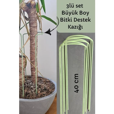 Bitki Destek Kazığı 3lü Set Büyük Boy (6