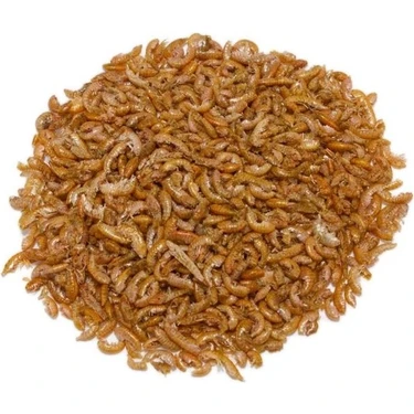 Netx Gammarus 50 gr Kaplumbağa ve Balık