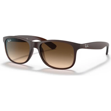 Ray-Ban RAYBAN RB 4202 C.6073/13 55-17 Güneş
