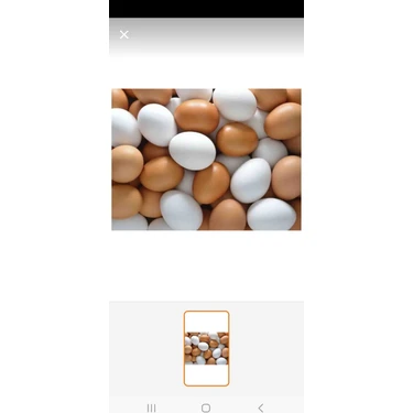 Sahte Plastik Tavuk Yumurta 20
