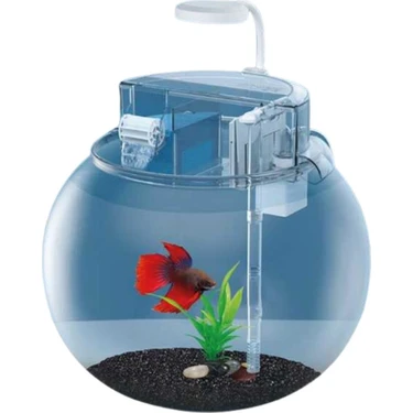 Jeneca Yg-29 Fanus Akvaryum Seti 29X29X27 cm 10L Fiyatı