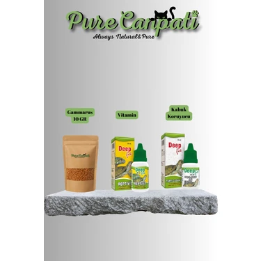 Purecanpati Gammarus ve Kaplumbağa Bakım