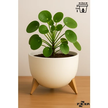 2 Litre Ayaklı Küre Saksı 20cm Delikli Süzgeçli Drenajlı Plastik Çiçek