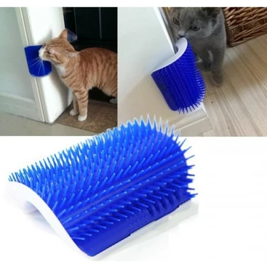 Cat It Kedi Kaşınma