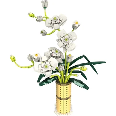 レア品 Blaque Ivory レコード BLX Yaz Orkidesi Buketi 8833 : Amazon.com.tr: Ev ve Yaşam