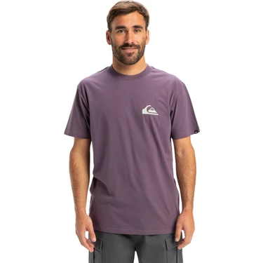 Quiksilver Ev Mini Logo Erkek Mor