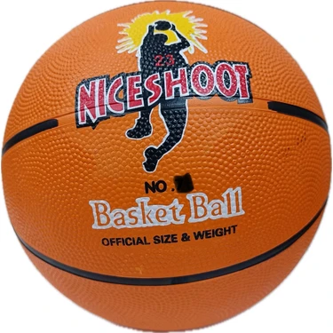Profesyonel Basketbol