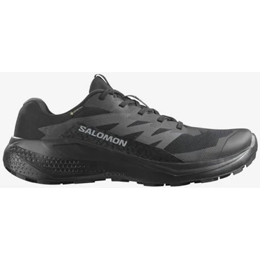 Salomon Alphaglide GORE-TEX Erkek Patika Koşusu
