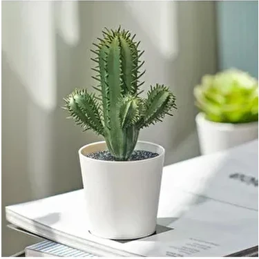 IKEA Fejka Kakts 14 cm Mini Saksl Yapay Kakts Bitki Fiyat