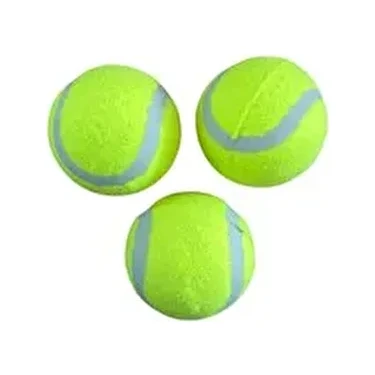 CKSpor Kedi ve Köpekler İçin 3'lü Tenis Topu Paketli Oyun Topu Yeşil Renkli Eğlenceli