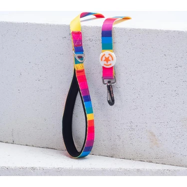 Rainbow Leash Gökkuşağı Desenli Kedi Köpek Sevk & Gezdirme Kayışı Köpek Uzatma