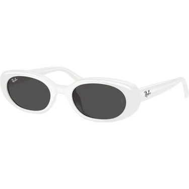 Ray-Ban Güneş Gözlüğü RB4441D 53