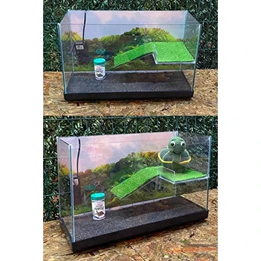 Fauna Pet Supplies Su Kaplumbağası Akvaryumu 50x30x25cm Full Cam Yeşil Rampalı Dinlenme