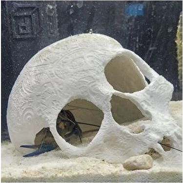 3D Print Studio Kuru Kafa Balık Süsü 16 cm Çap Akvaryum Dekorasyonu İçin