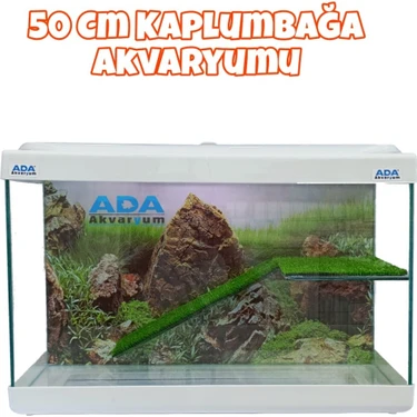 Ada Akvaryum Su Kaplumbağası Akvaryumu Bahçeli Rampalı Dinlenme  50X30X20 cm  Arka Plan