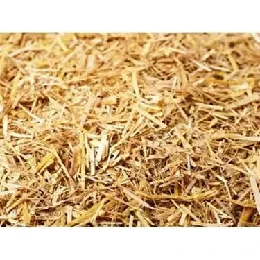 Sc Plus 1kg Arpa Samanı - Kemirgen Otu - Kuş Otu - Folluk Otu - Sürüngen Otu - Yavrulama