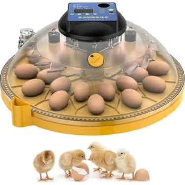 Evonest Evo-Ufo-48 Yumurta Kapasiteli Ufo Model Ev Hobi Küçük Çiftlik Tam Otomatik Kuluçka