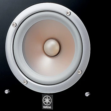 Yamaha NS-333
