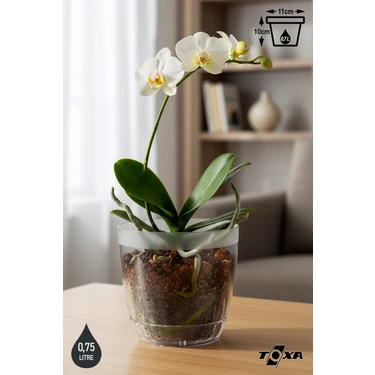 0,75 Litre Kristal Orkide Saksısı Set Tabaklı Şeffaf Plastik Saksı