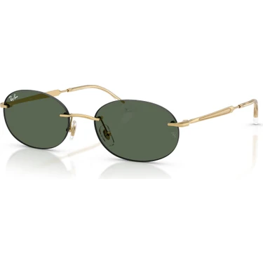 Ray-Ban Rayban 3767 001/71 54 Kadın Güneş