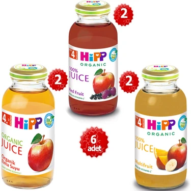 Hipp 6個セット Hipp Organik x 6 Adet Karışık Meyve Suyu 200ML Fiyatı