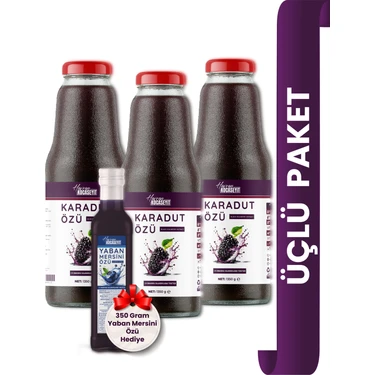 Havran Kocaseyit 3 Adet Karadut Özü 1350 g + Yaban Mersini Özü 350