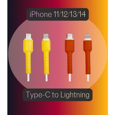 Löwin iOS Type-C To Lightning Şarj Kablo Ucu Koruyucu – iPhone 11-12-13-14 | Taraftar Renkleri Seti