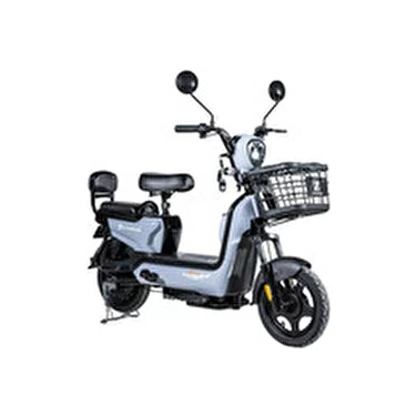 Zlin Motors Şahin 1 Elektrikli Bisiklet Gri 2025 Model 48V12AH Batarya ile Şehir İçi Kullanım İçin