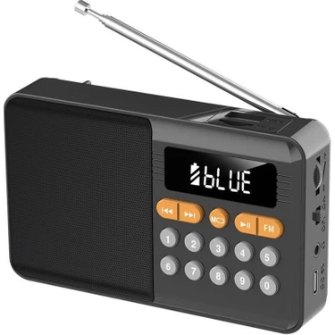 Rose SP-604 Şarjlı Bluetooth Wirelles Fm Radyo