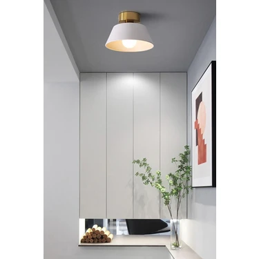 Uçar Dolly Modern Hol Koridor Giriş Için Tekli Plofonyer Metal