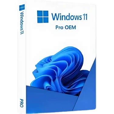 Microsoft Windows 11 Pro OEM Lisans