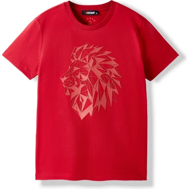 Gs Store Galatasaray Kadın T-Shirt