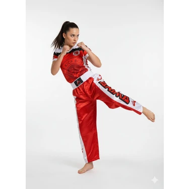 ARIMA Kickboks Point-Fight