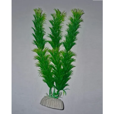 Petistera PB10 Plastik Akvaryum Bitkisi 20