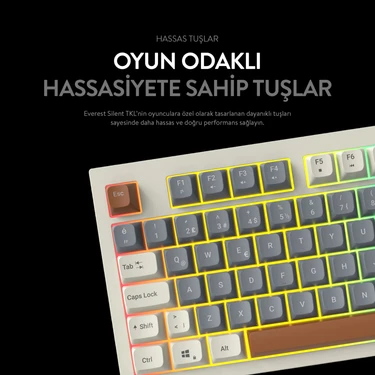 Everest Sılent Tkl Ultra Sessiz Rainbow Q Türkçe Klavye Fiyatı