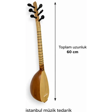 Aurora Cura Saz Küçük Boy | Oyma