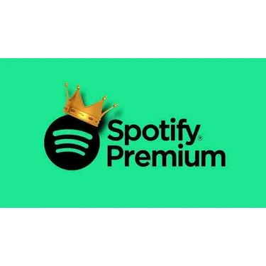 Spotify 4 Aylık